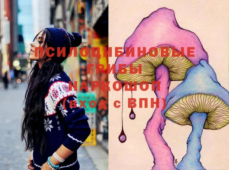 Псилоцибиновые грибы Magic Shrooms  МЕГА ONION  Анжеро-Судженск 